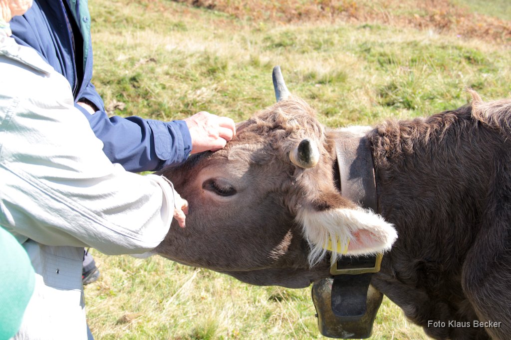 2014-10-03_031_Bergmesse Ofterschwang_KB.jpg